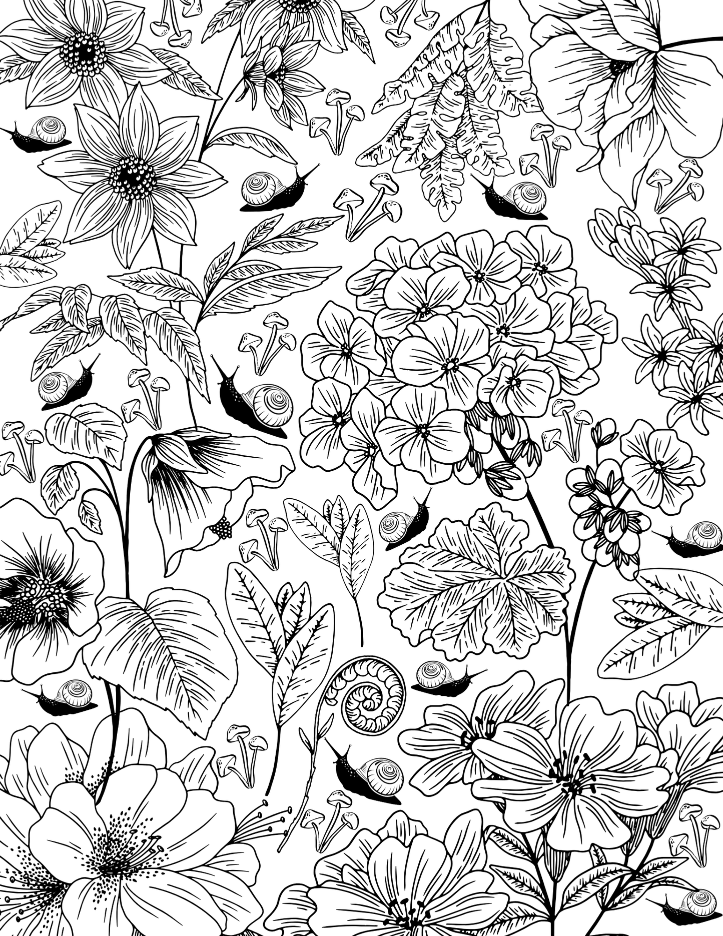 Hidden Hollow Vol. 1 - Cozy Reading Nooks, Digital Coloring Book - Cloverdilly Cottage Shoppe