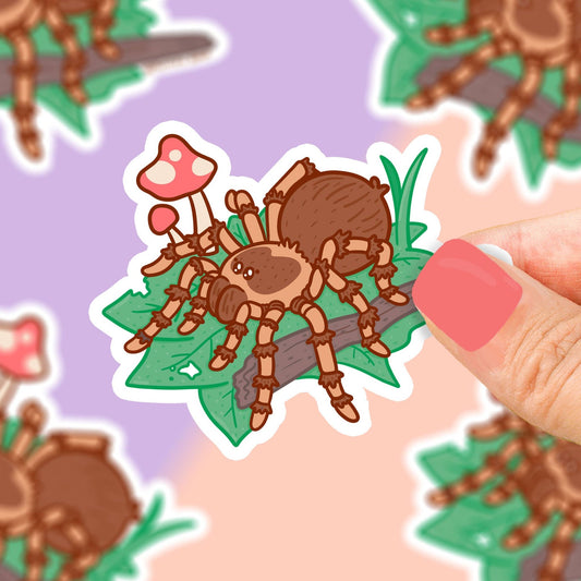 Tarantula Pet Spider Vinyl Sticker - Cloverdilly Kids