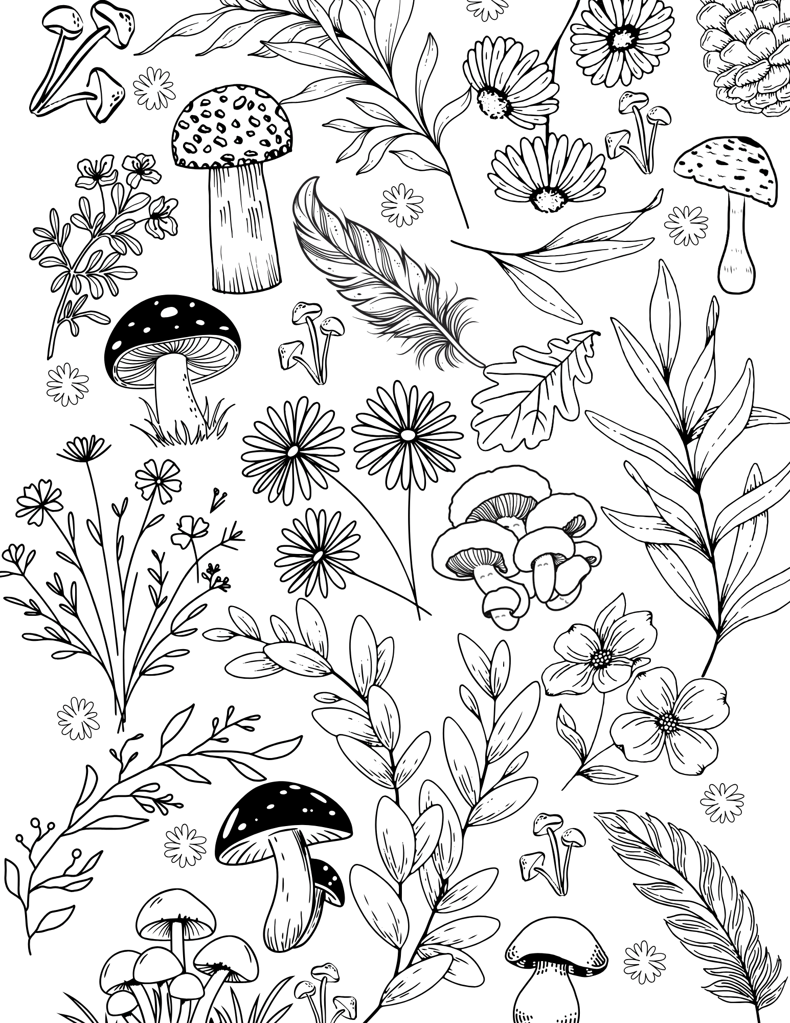 Hidden Hollow Vol. 1 - Cozy Reading Nooks, Digital Coloring Book - Cloverdilly Cottage Shoppe