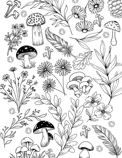 Hidden Hollow Vol. 1 - Cozy Reading Nooks, Digital Coloring Book - Cloverdilly Cottage Shoppe