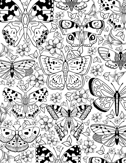 Hidden Hollow Vol. 1 - Cozy Reading Nooks, Digital Coloring Book - Cloverdilly Cottage Shoppe
